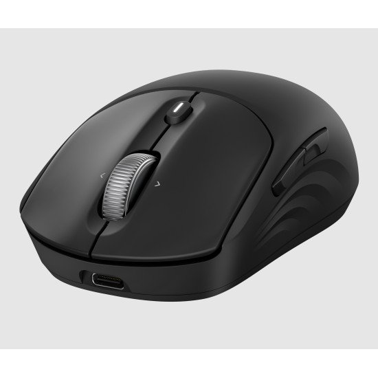 HP Souris sans fil rechargeable 700 HP Souris sans fil rechargeable 700