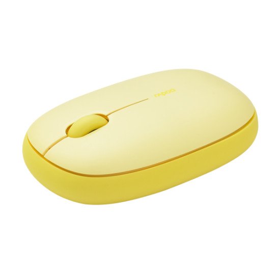 Rapoo M660 Silent souris Ambidextre RF sans fil + Bluetooth Optique 1300 DPI