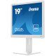 iiyama ProLite B1980D-W5 écran PC 48,3 cm (19") 1280 x 1024 pixels SXGA LCD Blanc