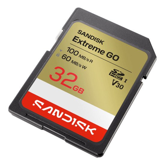 SanDisk Extreme GO 32 Go SDHC UHS-I