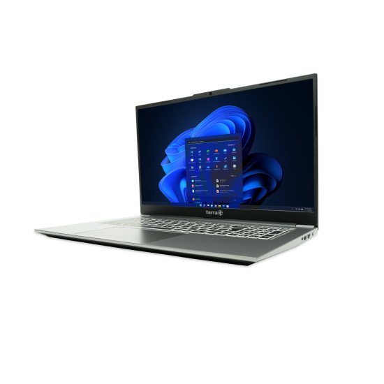 TERRA 1220877 laptop Intel® Core™ i5 i5-1334U 43,9 cm (17.3") Full HD 16 Go DDR4-SDRAM 1 To Windows 11 Pro Gris