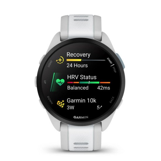 Garmin Forerunner 165 3,05 cm (1.2") AMOLED 43 mm Numérique 390 x 390 pixels Écran tactile Gris GPS (satellite)