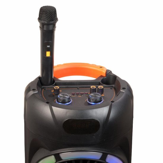 Denver BPS-459 haut-parleur portable et de fête Orateur du parti Noir 20 W