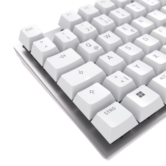 CHERRY KC 200 MX clavier USB QWERTZ Allemand Argent, Blanc