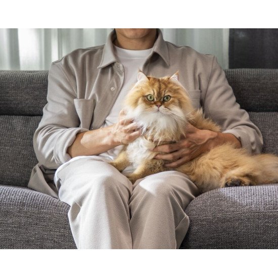 Rowenta X-Clean 4 GZ5035WO aspirateur balai et balai électrique Batterie Sec&humide mousse Sans sac 200 W Gris