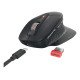 CHERRY Stream mouse ultimate souris Universel Droitier RF Wireless + Bluetooth + USB Type-C 4000 DPI