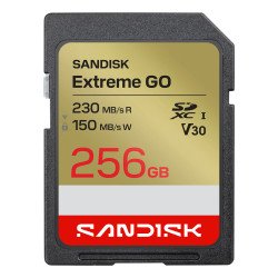 SanDisk Extreme GO 256 Go SDXC UHS-I
