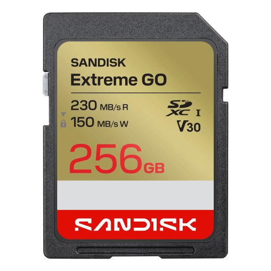 SanDisk Extreme GO 256 Go SDXC UHS-I