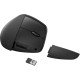 HP Souris sans fil ergonomique 920