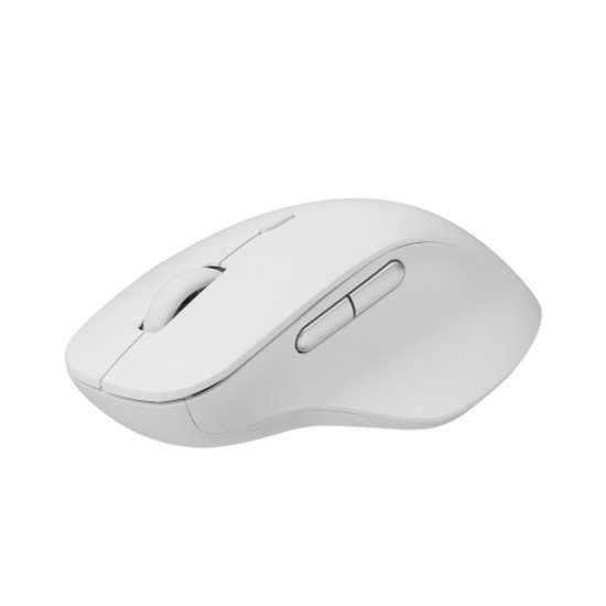 Rapoo M50 Plus souris Droitier RF sans fil Optique 3600 DPI