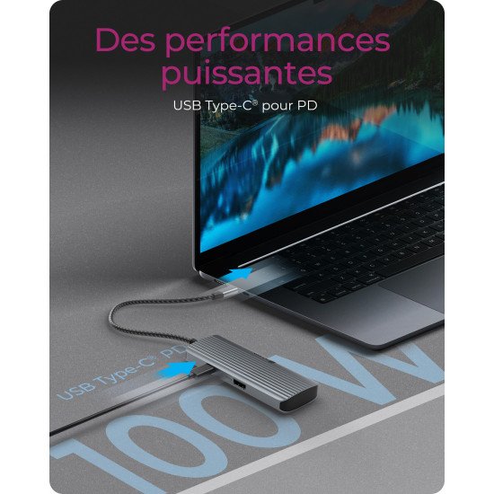 ICY BOX IB-DK4022a-CPD Avec fil USB 3.2 Gen 1 (3.1 Gen 1) Type-C Aluminium, Argent
