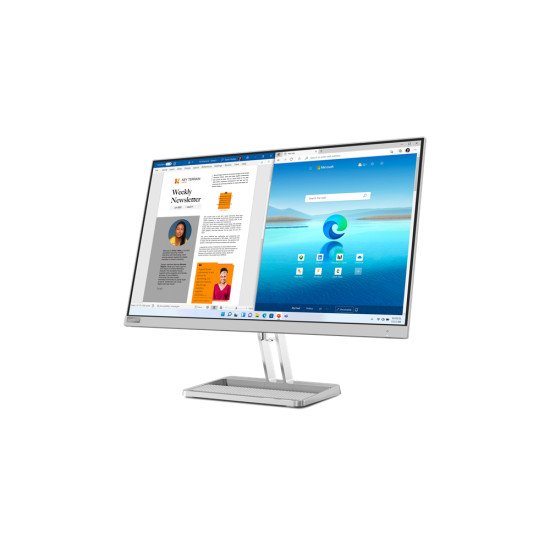 Lenovo L27i-40 LED display 68,6 cm (27") 1920 x 1080 pixels Full HD Gris