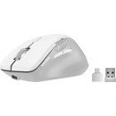 SPEEDLINK LIBERA Rechargeable Mouse souris Gaming Droitier RF sans fil + Bluetooth Optique 3200 DPI