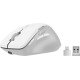 SPEEDLINK LIBERA Rechargeable Mouse souris Gaming Droitier RF sans fil + Bluetooth Optique 3200 DPI