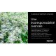 Xerox Cartouche de toner Noir de Capacité standard Imprimante ® VersaLink® B620/multifonction ® VersaLink® B625 (10000 pages) - 006R04668