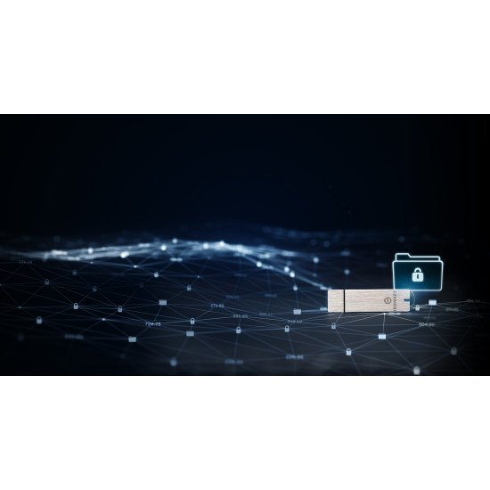 Kingston Technology IronKey 64Go Basic S1000 Encrypted USB 3.0 FIPS 140-2 Level 3