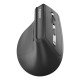 Rapoo EV310M souris Bureau Droitier RF sans fil + Bluetooth Optique 2400 DPI