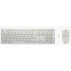 HP Ensemble clavier et souris hybride multi-appareils 495C