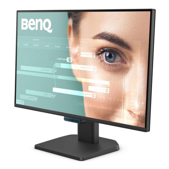 BenQ GW2490C écran PC 60,5 cm (23.8") 1920 x 1080 pixels Full HD Noir