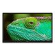 Lenco LED-2463BK (V2) 61 cm (24") HD Smart TV Wifi Noir 300 cd/m² Lenco LED-2463BK (V2) 61 cm (24") HD Smart TV Wifi Noir 300 cd/m²