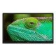 Lenco LED-2463BK (V2) 61 cm (24") HD Smart TV Wifi Noir 300 cd/m² Lenco LED-2463BK (V2) 61 cm (24") HD Smart TV Wifi Noir 300 cd/m²