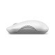 Lenovo 700 Multi-Device WL Silent Mouse souris Bureau Ambidextre RF sans fil + Bluetooth Optique 4000 DPI