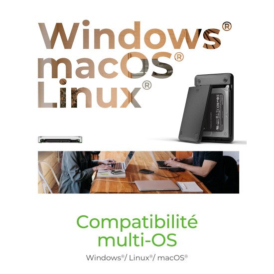 ICY BOX IB-201T-CU31 Enceinte ssd Noir 2.5"