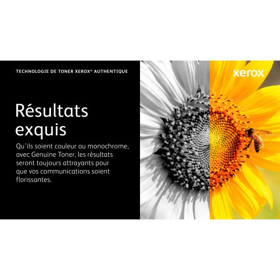 Xerox Cartouche de toner Magenta de Grande capacité Imprimante couleur ® VersaLink® C620 (12000 pages) - 006R04626