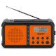 TechniSat TECHNIRADIO SOLAR 2 Portable Analogique et numérique Noir, Orange