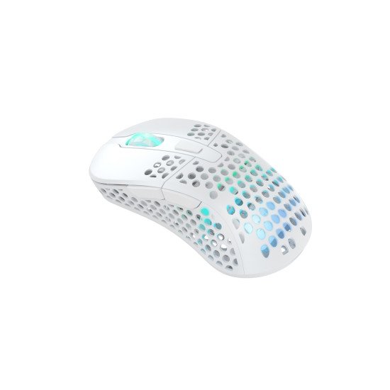 Xtrfy M4 RGB souris Droitier RF Wireless + USB Type-C Optique 19000 DPI