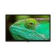 Lenco LED-3263BK 81,3 cm (32") HD Smart TV Noir Lenco LED-3263BK 81,3 cm (32") HD Smart TV Noir