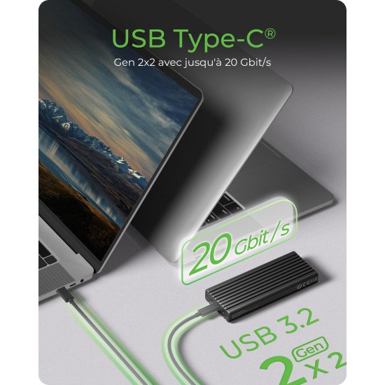 ICY BOX IB-1917M-C32a Enceinte ssd Noir M.2