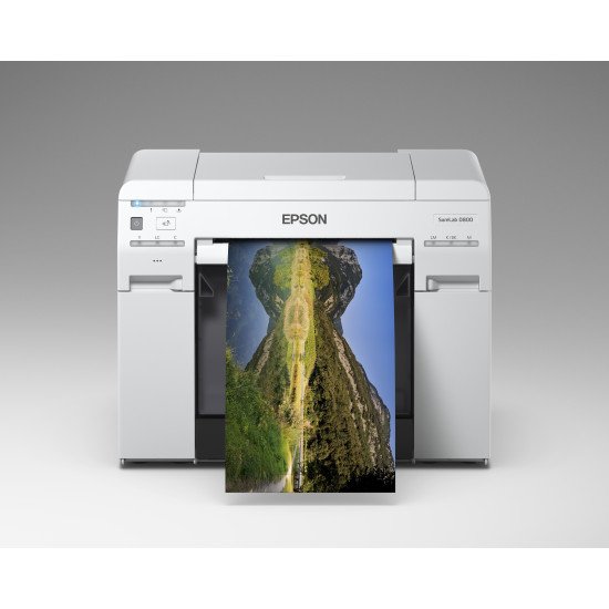 Epson T43U Light Magenta SURELAB SL-D800