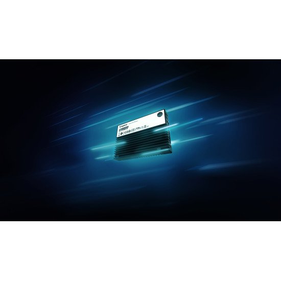 Kingston Technology 7,68TB DC3000ME U.2 PCIe 5.0 NVMe TCG Opal Enterprise SSD