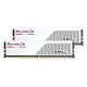 G.Skill Ripjaws F5-6000J3238F16GX2-RS5W module de mémoire 32 Go 2 x 16 Go DDR5 288-pin DIMM