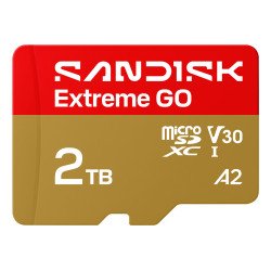 SanDisk Extreme GO 2 To MicroSDXC UHS-I