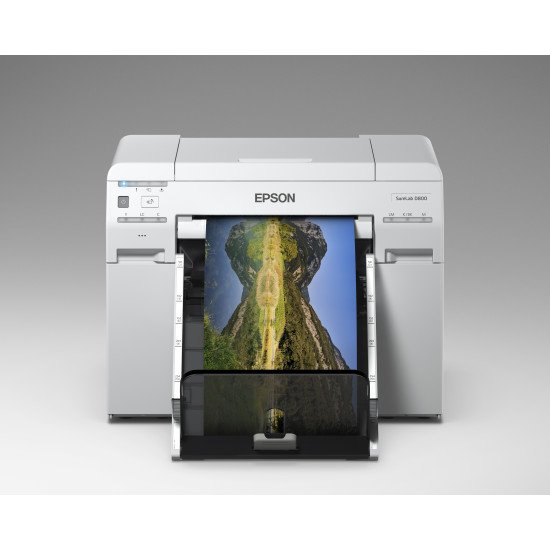 Epson T43U Light Magenta SURELAB SL-D800