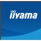 iiyama ProLite XB2797QSU-B1 écran PC 68,6 cm (27") 2560 x 1440 pixels Quad HD LED Noir